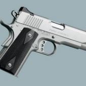 Compact Stainless II - .45 ACP